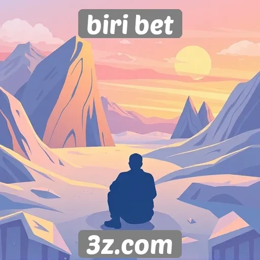 Aspectos de usabilidade no site de biri bet
